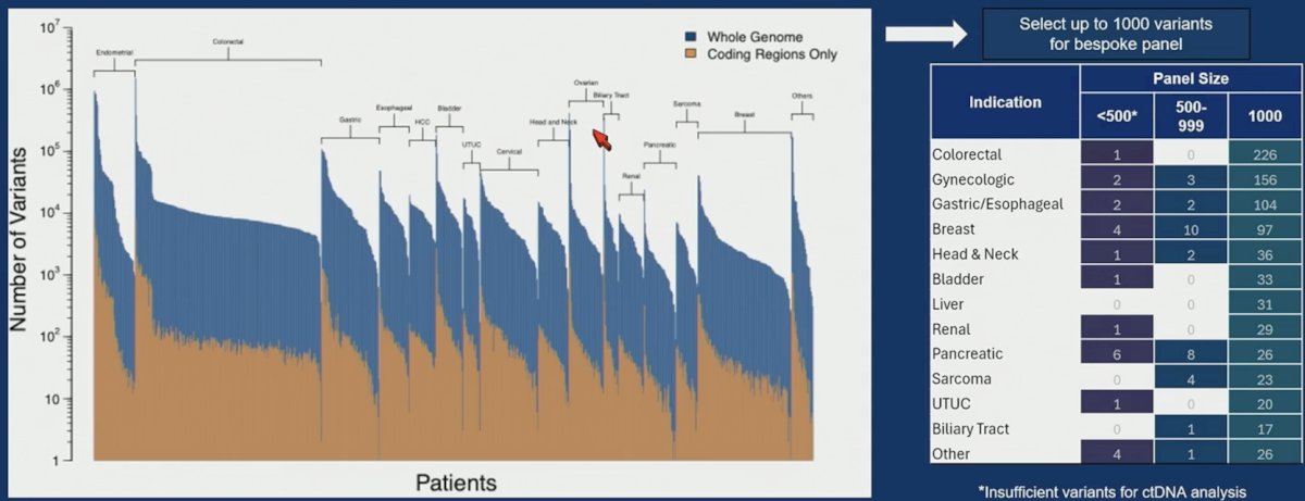All patients underwent upfront radical nephrectomy. Personalized panel creation succeeded in 100% of patients, identifying a median of 4,054 highly confident tumor-specific alterations per patient (range: 902-7712), yielding bespoke panels containing 518-1,000 alterations.