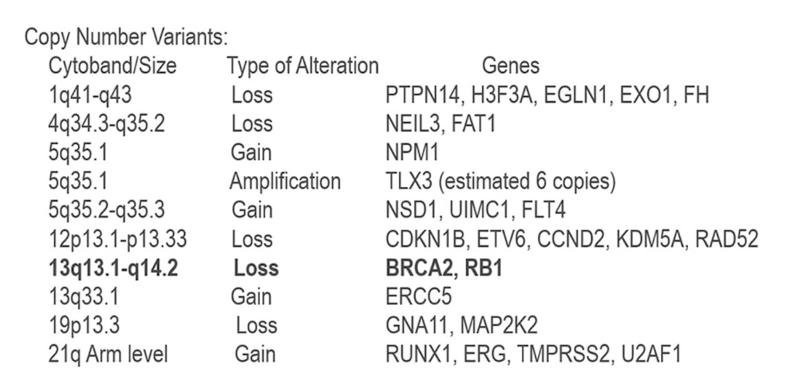 Dr. Beltran then provided a case study of a patient who had his primary tumor sequenced from Oncopanel (targeted exome test, with approximately 500 genes in the tumor only):