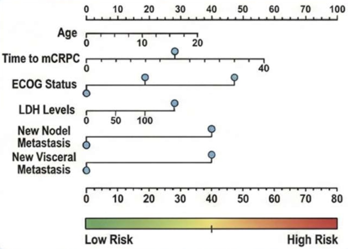The following prognostic nomogram stratifies patients into low- and high-risk groups, providing an accessible way to estimate docetaxel benefits based on individual tumor behavior: