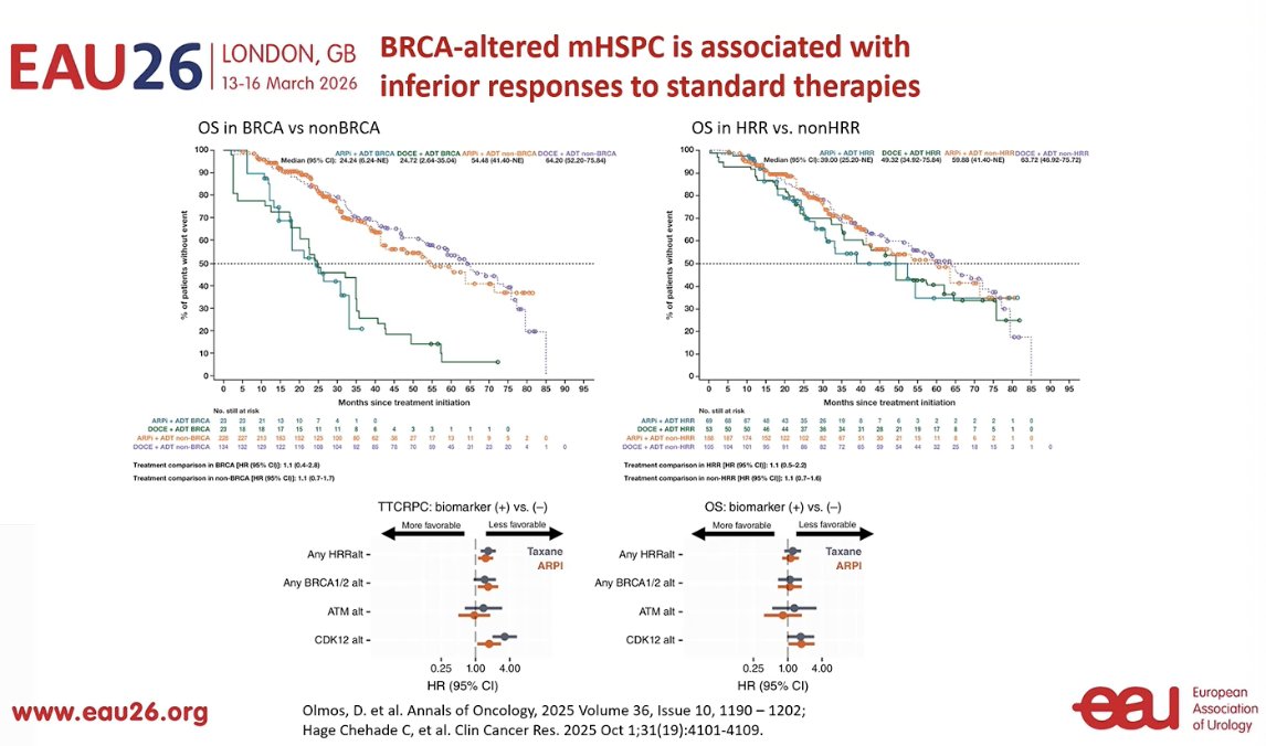 Dr. von Ambserg highlighted that patients with BRCA alterations tend to have inferior responses to standard therapies in the mHSPC setting. Compared with patients without these alterations. This further supports the rationale for considering PARP inhibitor strategies earlier in the treatment course for these patients. She also noted that emerging data suggest patients with CDK12 alterations may experience similarly poor outcomes, performing almost as poorly as those with BRCA mutations in some analyses from U.S. cohorts. These findings further emphasize the importance of molecular profiling to guide treatment decisions in advanced prostate cancer.
