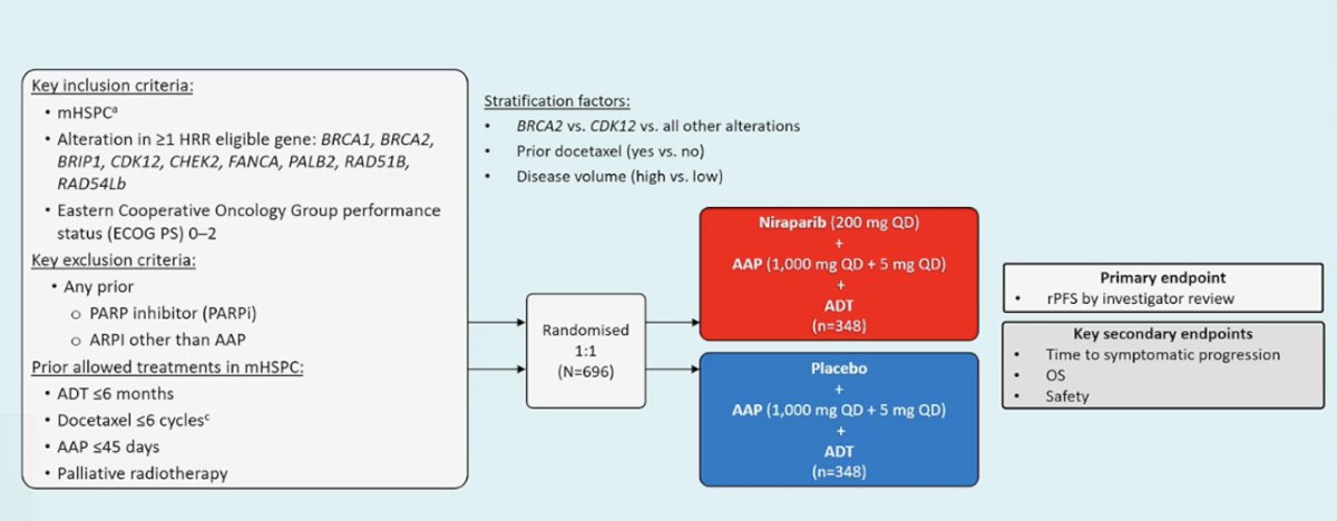 Going back to the AMPLITUDE trial, this was a phase III randomized study evaluating niraparib in combination with abiraterone acetate plus prednisone and ADT in patients with mHSPC harboring HRR alterations. Eligible patients had alterations in at least one HRR gene, including BRCA1, BRCA2, ATM, PALB2, CHEK2, FANCA, RAD51B, RAD54L, and others, with an ECOG performance status of 0–2. Patients were randomized 1:1 to receive niraparib plus AAP and ADT or placebo plus AAP and ADT. Randomization was stratified according to BRCA2 versus other HRR alterations, prior docetaxel exposure, and disease volume (high versus low). The primary endpoint was radiographic progression-free survival by investigator review, with key secondary endpoints including time to symptomatic progression, overall survival, and safety. The study design is shown below.