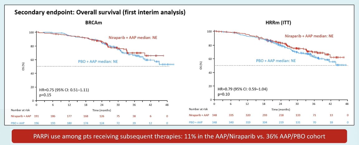 Overall survival data remain immature at this first interim analysis. Although there was a numerical trend favoring niraparib plus AAP in both the BRCA-mutated and overall HRR-mutated populations, the differences did not reach statistical significance at this stage (BRCA: HR 0.75; HRR: HR 0.79). Notably, PARP inhibitor use among patients receiving subsequent therapies was higher in the control arm, with 36% of patients in the AAP/placebo group receiving a PARP inhibitor compared with 11% in the AAP/niraparib arm, which may influence the final OS anal