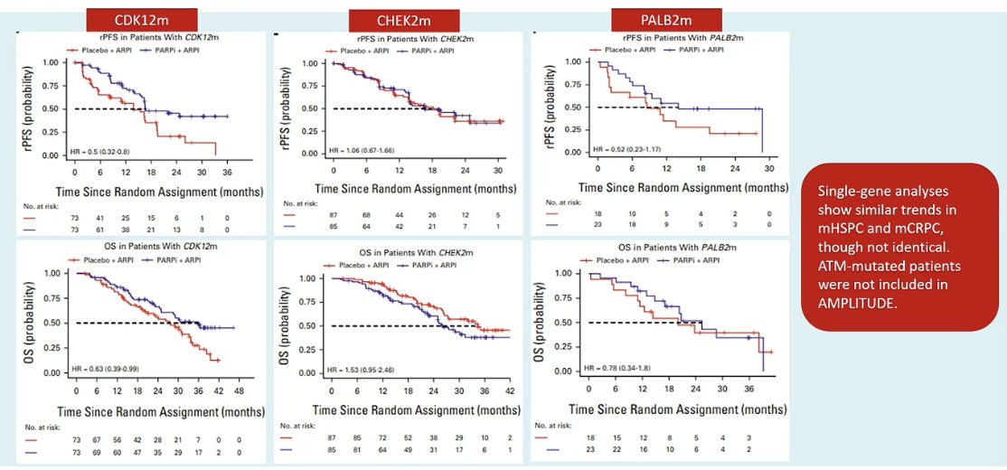 Dr. von Amsberg also highlighted a meta-analysis in the mCRPC setting evaluating outcomes according to individual HRR gene alterations. These analyses suggest that patients with alterations such as CDK12 and PALB2 may derive greater benefit from PARP inhibitor–based approaches, whereas patients with CHEK2 alterations appear to derive less benefit. She also noted that single-gene analyses show broadly similar trends across mHSPC and mCRPC, although results are not identical, and ATM-mutated patients were not included in the AMPLITUDE trial.