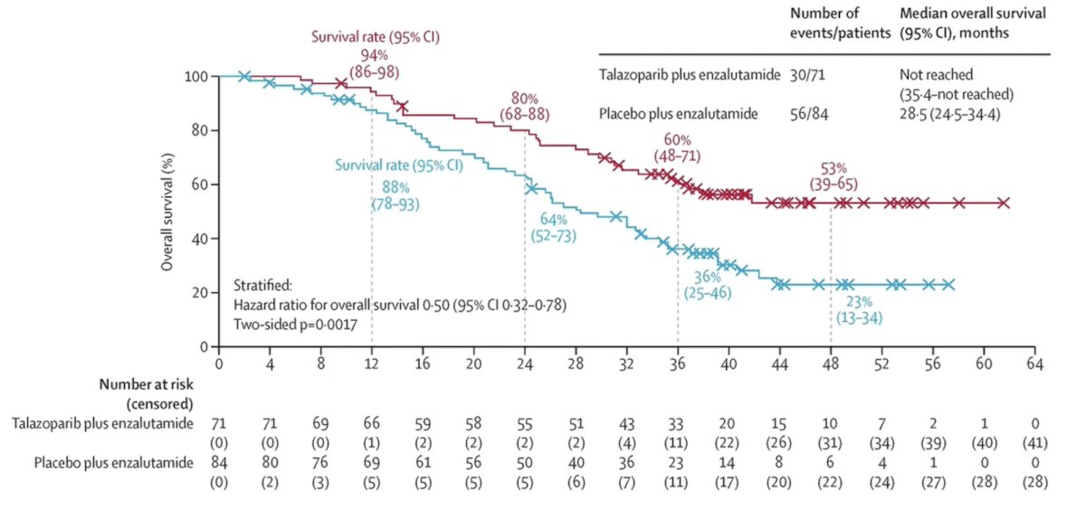 With additional follow-up, this also corresponded to a median overall survival of not reached in the talazoparib + enzalutamide arm versus 28.5 months in the placebo + enzalutamide (HR 0.50, 95% CI 0.32-0.78):7