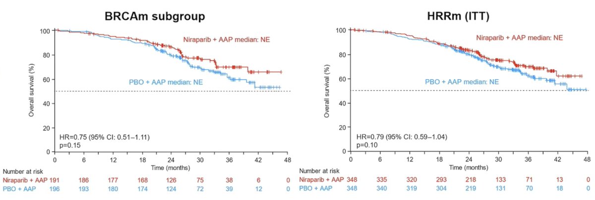 The data for overall survival are immature but favor niraparib and abiraterone acetate + prednisone in the BRCA subgroup (HR 0.75, 95% CI 0.51-1.11), as well as in the intention-to-treat population (HR 0.79, 95% CI 0.59-1.04):&nbsp;