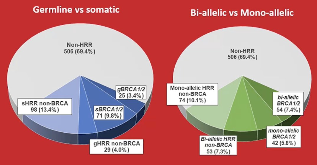 In 2024, Dr. Olmos’ group assessed treatment patterns and outcomes of patients with mCRCP with or without somatic or germline alterations in HRR genes.1 Among 729 mCRPC patients from CAPTURE, 96 (13.2%), 127 (17.4%), and 506 (69.4%) were in the BRCA mutation, HRR non-BRCA mutation, and non-HRR mutation subgroups, respectively. The following shows germline versus somatic and bi-allelic versus mono-allelic mutations in this cohort:&nbsp;