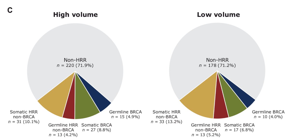 In both patients with high-volume and low-volume disease, somatic mutations were also more common than germline mutations in the BRCA [27/42 (64.3%) versus 15/42 (35.7%) and 17/27 (63.0%) versus 10/27 (37.0%)] and HRR non-BRCA [31/44 (70.5%) versus 13/44 (29.5%) and 33/46 (71.7%) versus 13/46 (28.3%)] subgroups, respectively: