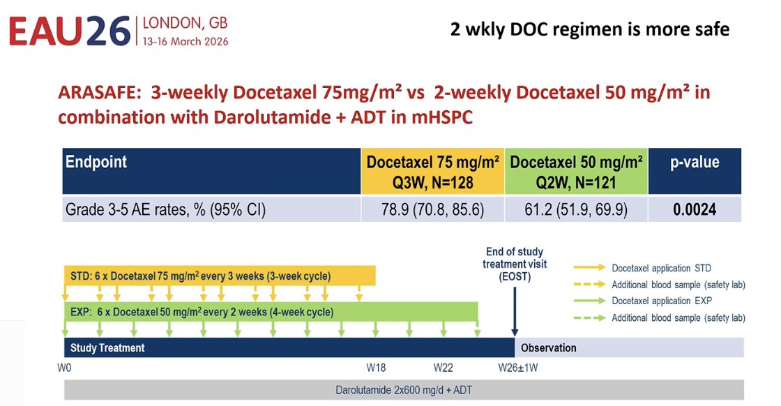 Dr. Kramer also discussed the ARASAFE study, presented at ESMO 2025, which evaluated two different docetaxel schedules in patients receiving darolutamide + ADT for mHSPC. The study compared the standard regimen of docetaxel 75 mg/m² every three weeks with a modified regimen of 50 mg/m² every two weeks. The two-week schedule was associated with significantly lower rates of grade 3–5 adverse events (61.2% vs 78.9%), suggesting that a biweekly docetaxel regimen may represent a safer alternative when used as part of triplet therapy.