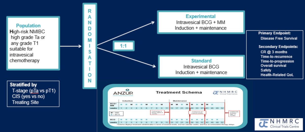 Participants were BCG-naïve with resected, high-grade, papillary urothelial cancer (stages pTa/pT1 ± concurrent CIS) and randomly assigned treatment (1:1) with BCG + mitomycin versus BCG alone. BCG + mitomycin included induction with BCG weeks 1, 2, 4, 5, 7, 8 and mitomycin weeks 3, 6, and 9, then maintenance with mitomycin weeks 13, 17, 25, 29, 37, 41 and BCG weeks 21, 33, 45. BCG-alone included weekly induction x 6, then 4-weekly maintenance x10: