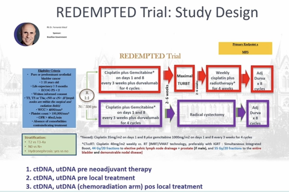 Importantly, ctDNA and utDNA are evaluated at multiple time points within this study, including (i) prior to neoadjuvant therapy, (ii) before local treatment, and (iii) following chemoradiation in the bladder preservation arm. The primary endpoint of the trial is metastasis-free survival, with the goal of determining whether molecular biomarkers can reliably identify patients suitable for bladder preservation.