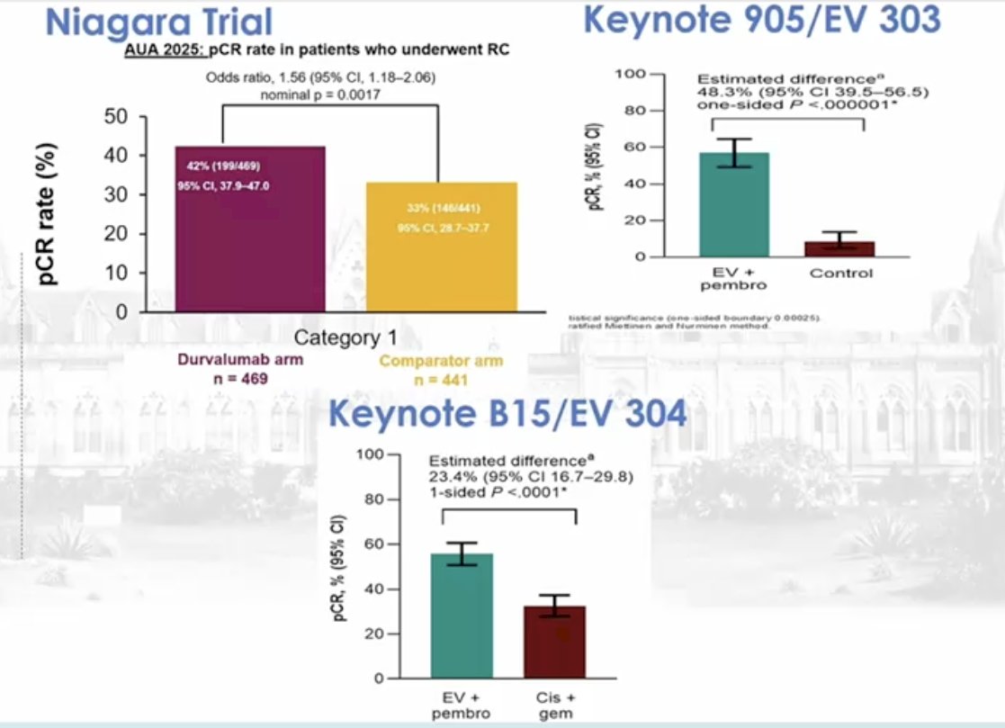 He first highlighted improvements in pCR rates achieved with modern systemic therapies. Data from the phase III NIAGARA trial evaluating perioperative durvalumab with cisplatin-based chemotherapy demonstrated an improvement in pCR rates, whereby the durvalumab-containing arm achieved a pCR of 42% compared with 35% in the comparator arm, corresponding to an odds ratio of 1.56 (95% CI 1.18–2.06; nominal p=0.0017).1 Similarly, the KEYNOTE 905/EV-303 trial of perioperative enfortumab vedotin plus pembrolizumab (EV+P) in cisplatin-ineligible patients demonstrated a pCR of 58.3% with EV+P.2 The corresponding proportion in the KEYNOTE B15/EV-304 trial in cisplatin-eligible patients demonstrated a pCR of 55% with EV+P versus 32% with cisplatin combination chemotherapy.3