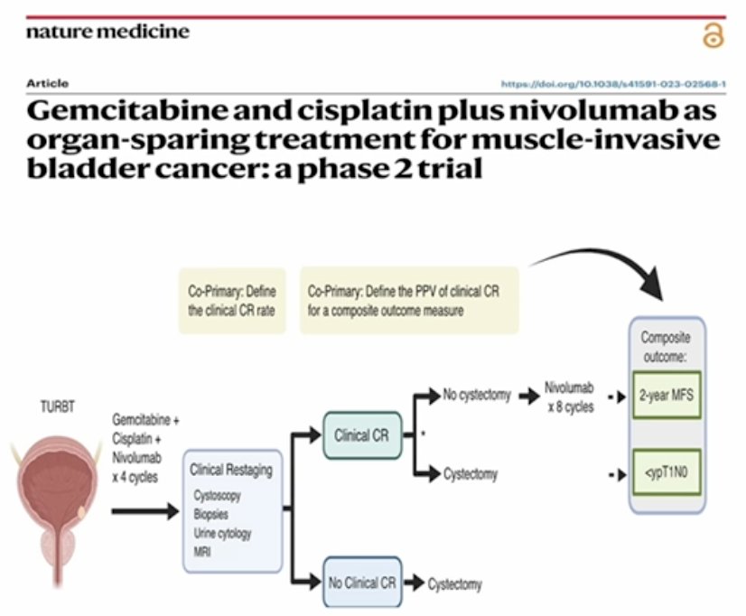 Dr. Maluf next highlighted data supporting response-adapted organ preservation from the phase II trial evaluating gemcitabine, cisplatin, and nivolumab as an organ-sparing strategy for muscle-invasive bladder cancer.4 This study provides an important framework for understanding how clinical complete response (cCR) after systemic therapy may translate into favorable long-term outcomes and potentially allow safe avoidance of radical cystectomy in selected patients.