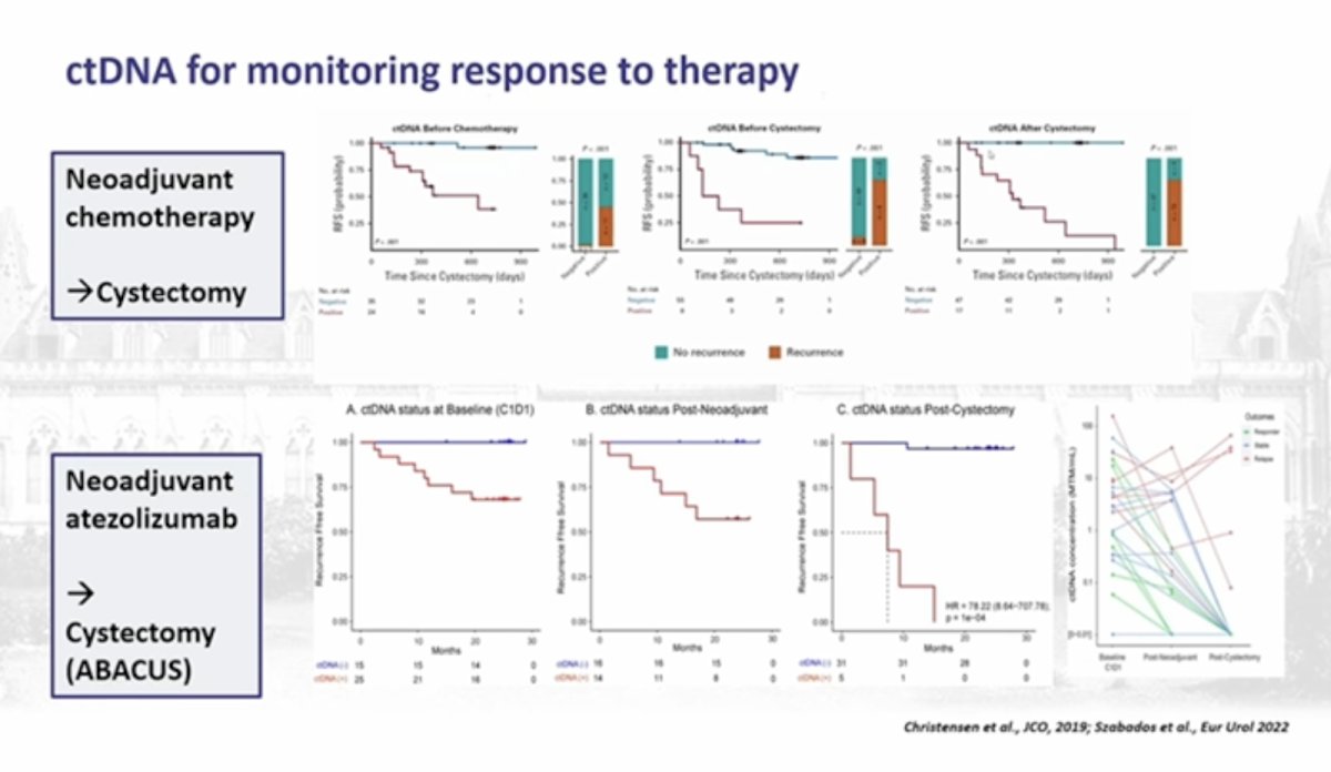 Dr. Maluf then referenced results from the ABACUS study, which evaluated neoadjuvant atezolizumab prior to cystectomy in patients with muscle-invasive bladder cancer.5 In this dataset, ctDNA status was evaluated longitudinally at baseline, following neoadjuvant therapy, and after cystectomy. Kaplan–Meier analyses again demonstrated a clear prognostic signal. Patients who were ctDNA negative following neoadjuvant immunotherapy experienced substantially improved recurrence-free survival compared to ctDNA-positive patients, supporting the concept that ctDNA may identify patients with eradicated systemic disease.