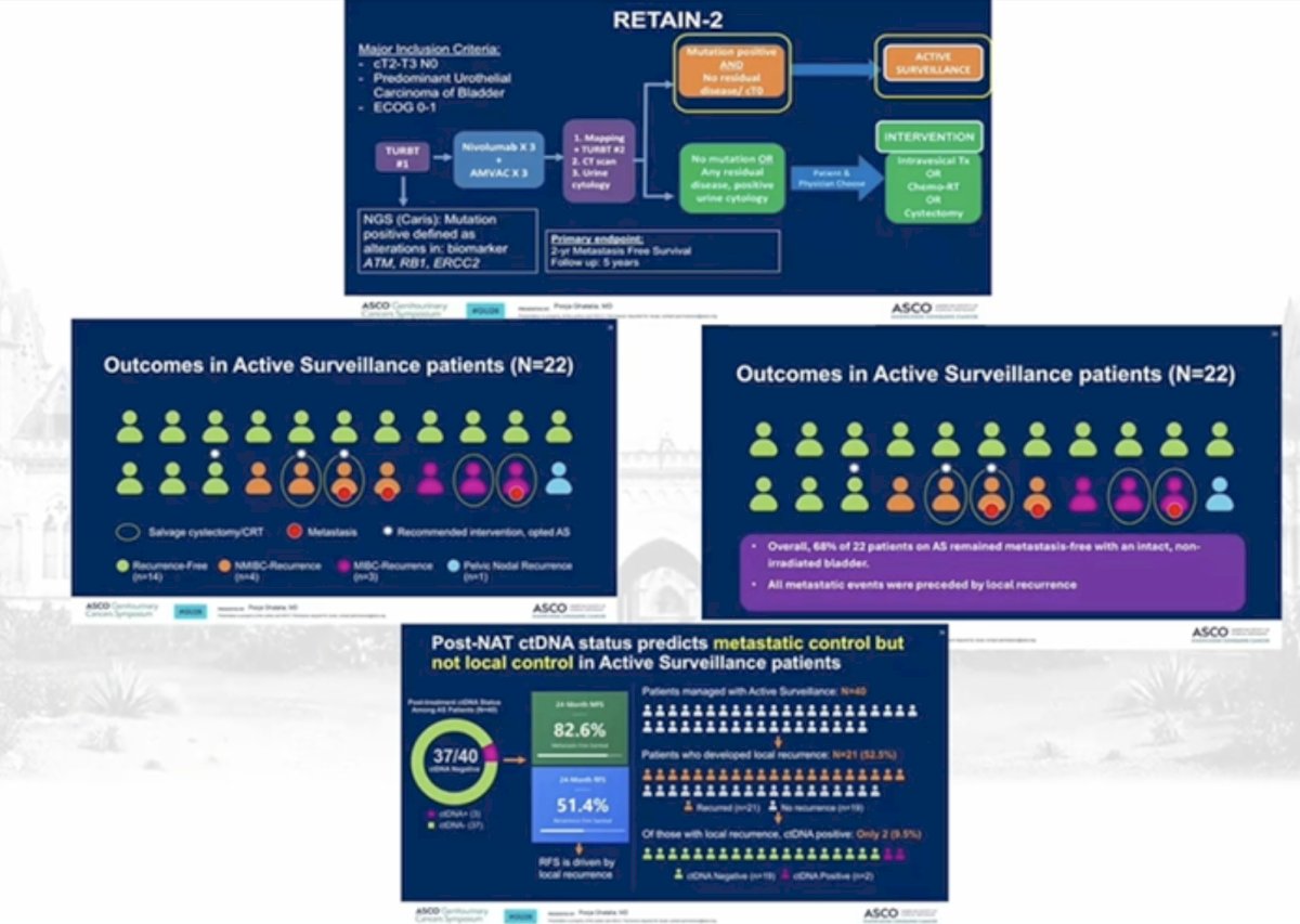 Outcomes from the active surveillance cohort provide important insight into the feasibility of bladder preservation in carefully selected patients. Among 22 patients managed with active surveillance, the majority remained recurrence-free during follow-up. However, local recurrence occurred in a subset of patients, highlighting that while systemic control may be achieved, intravesical relapse remains a significant concern. Importantly, all metastatic recurrences in this cohort were preceded by local recurrence events, suggesting that early detection of bladder relapse remains critical for maintaining oncologic safety in bladder preservation strategies.