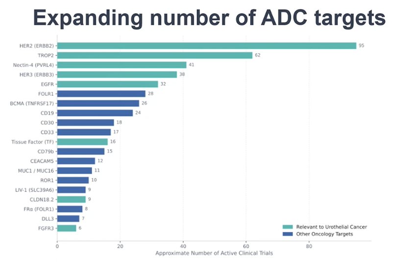 He noted that there is enormous enthusiasm around ADC development, with a rapidly expanding number of active clinical trials exploring a broad range of targets. As shown in the figure, several of these targets are directly relevant to urothelial carcinoma, including HER2, TROP2, nectin-4, and HER3, among others. The challenge now is no longer whether there are enough drugs in development, but rather how to develop them efficiently and how to prioritize which targets and combinations should move forward in bladder cancer.
