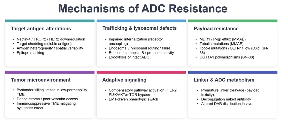 He emphasized that mechanisms of ADC resistance must be considered both in preclinical models and in patients. Multiple resistance pathways have been described, including alterations in the target antigen, defects in intracellular trafficking or lysosomal processing, payload resistance, and influences from the tumor microenvironment or adaptive signaling pathways. A major challenge in developing predictive biomarkers for ADCs is that resistance mechanisms are heterogeneous and may differ across patients, making it difficult to establish a single biomarker that reliably predicts response for all individuals. A summary of mechanisms of ADC resistance is shown below.