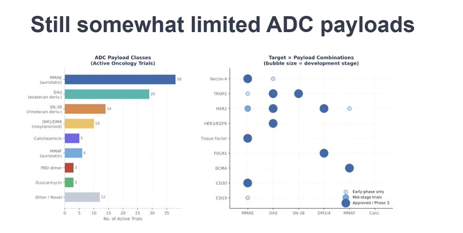 Dr. Galsky noted that, despite the growing number of ADC targets, the range of payloads currently used in the clinic remains relatively limited. Most ADCs rely on a small number of payload classes, primarily auristatins such as MMAE or topoisomerase inhibitors. He suggested that it may be more useful to think about these therapies based on payload class rather than simply by target. From a clinical standpoint, an important strategy moving forward may involve switching both targets and payloads when sequencing ADCs, taking advantage of the opportunity to overcome resistance by exposing tumors to different mechanisms of action.