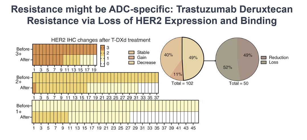He also discussed mechanisms of resistance, noting that loss of target expression may be ADC-dependent. Using data from breast cancer treated with trastuzumab deruxtecan, an anti-HER2 ADC with a topoisomerase payload, he showed that HER2 expression can decrease over time with treatment. The plots illustrate changes in HER2 IHC before and after therapy, demonstrating that approximately half of the patients lose HER2 expression at the time of progression. These findings suggest that resistance may occur through loss of the target itself, raising the possibility that switching to an ADC with a different payload, rather than simply changing the target, could be a rational strategy in some patients.