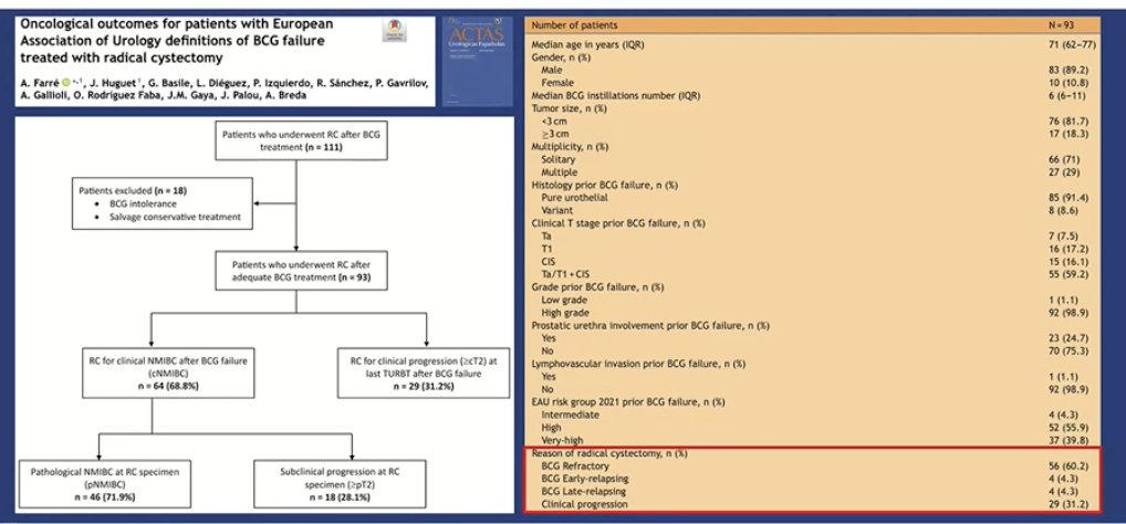 The next question he addressed was whether timing matters when performing a radical cystectomy after BCG failure. He presented data from a cohort of 93 patients who underwent cystectomy after adequate BCG therapy. At the time of surgery, approximately 70% of patients had clinically NMIBC, while about 31% had already progressed clinically. Importantly, final pathology revealed that 28% of patients were upstaged to muscle-invasive disease at cystectomy, highlighting the risk of disease progression when delaying definitive surgery. (2) .