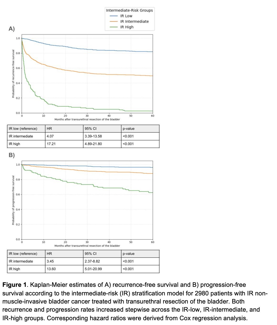 Cox proportional hazards modeling confirmed a significant increase in risk across strata. Compared with IR-low patients, those in the IR-intermediate group had significantly higher risks of both recurrence (HR 4.07) and progression (HR 3.45). Patients classified as IR-high had markedly elevated risks, with hazard ratios of 17.21 for recurrence and 13.60 for progression (all p<0.001).