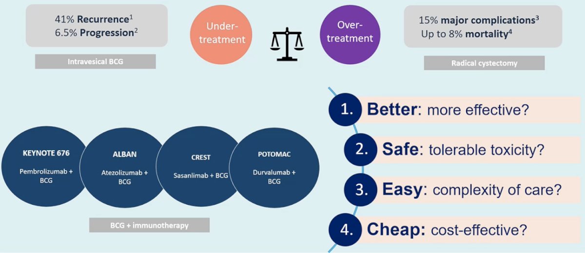 She structured her argument around four practical questions clinicians should ask before embracing BCG plus IO: Is it better (more effective)? Is it safe (tolerable toxicity)? Is it easy (complexity of care)? And is it cheap (cost-effective)?