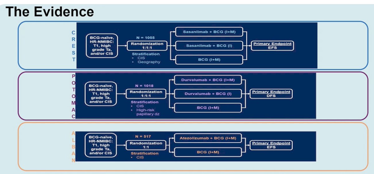 He noted that all three studies asked broadly similar questions but did so in somewhat different populations and with different treatment backbones, which is critical when interpreting why two were positive and one was not.