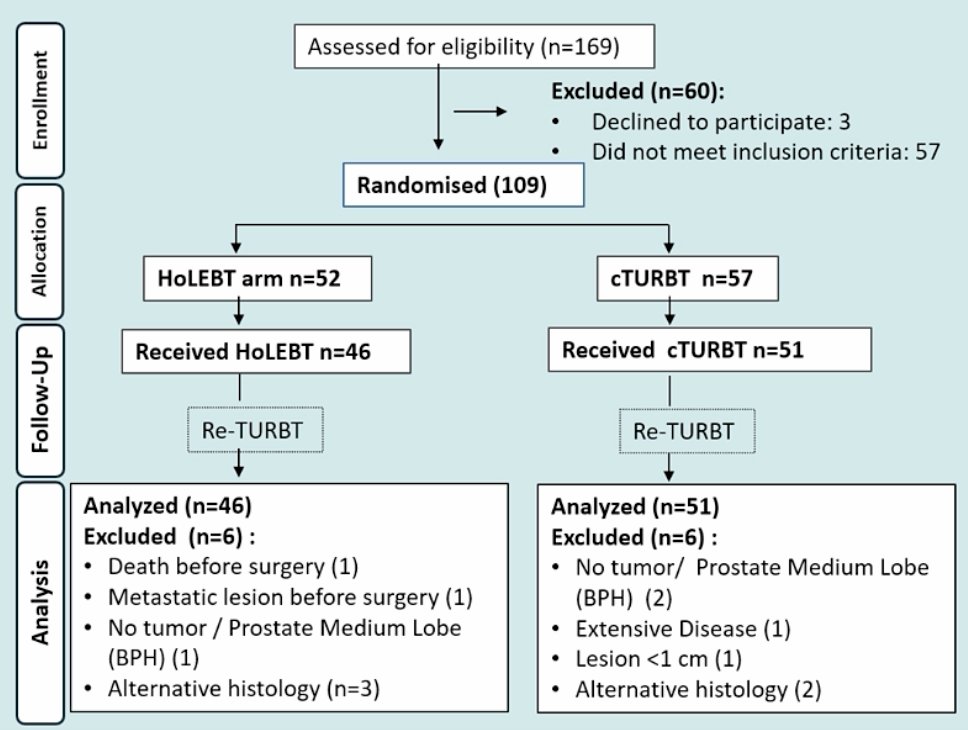 Ninety-seven patients were analyzed (holmium laser en bloc resection n = 46; TURBT n = 51):