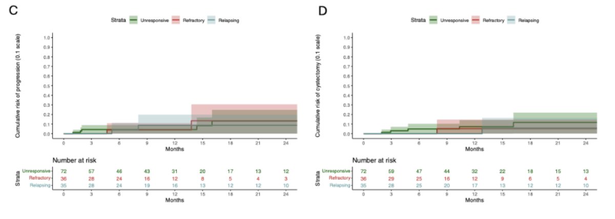 At 12 months, the cumulative recurrence risk was 28% for BCG-unresponsive, 34% for BCG-refractory, and 18% for BCG-relapsing disease. High grade-recurrence risks were 25%, 31%, and 15%, respectively (all p < 0.05), and progression risk and cystectomy rates remained <10% across groups: