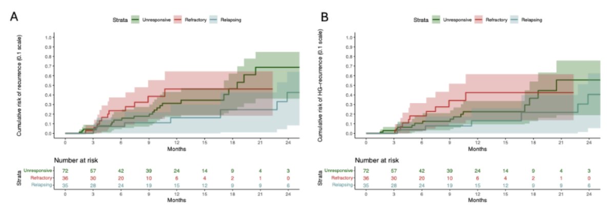 On multivariable analysis, BCG-relapsing disease was associated with lower recurrence risk versus BCG-unresponsive disease (HR 0.40, 95% CI 0.16–0.97; p = 0.042), but not with high-grade recurrence (HR 0.48, 95% CI 0.18–1.27; p = 0.14):