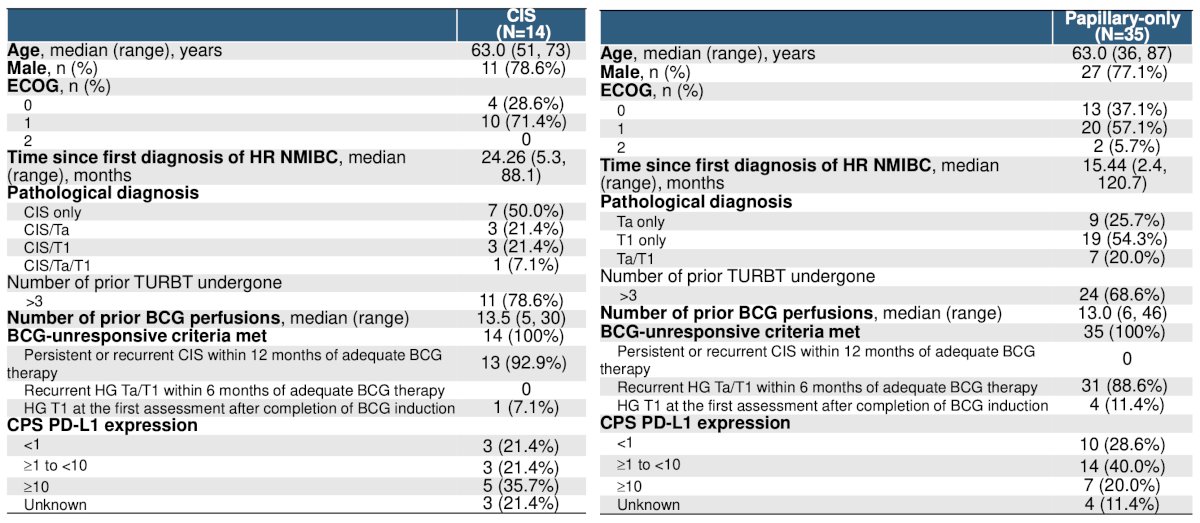 From January 10, 2024, to the data cutoff date of November 28, 2025, a total of 49 patients (14 CIS with or without Ta/T1, 35 papillary-only) have received SIM0237 monotherapy. In the CIS with or without papillary group, the median age was 63 years (range: 51-73), with 78.6% male, and a median number of prior BCG doses of 13.5 (range: 5-30). In the papillary only group, the median age was 63 years (range: 36-87), with 77.1% male, and a median number of prior BCG doses of 13 (range: 6-46):