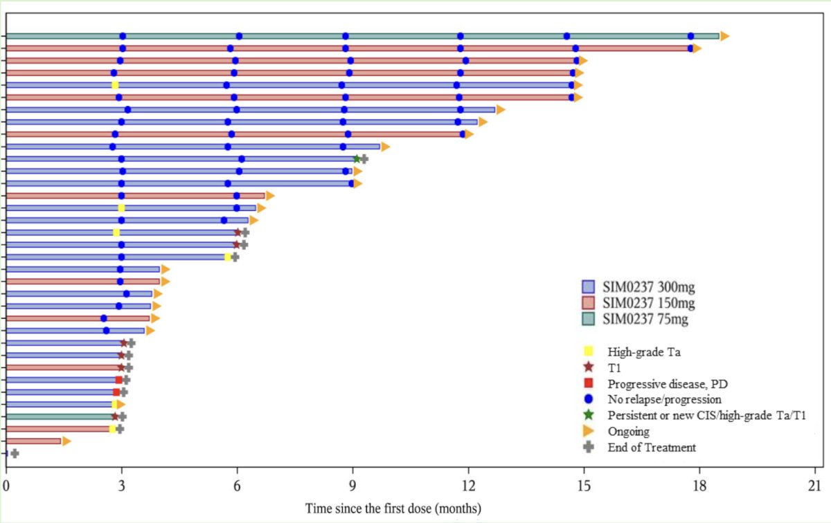 In the 35 papillary-only patients, the median disease-free survival was immature, with a 12-month disease-free survival rate of 65.8% (95% CI, 44.1%-80.7%):