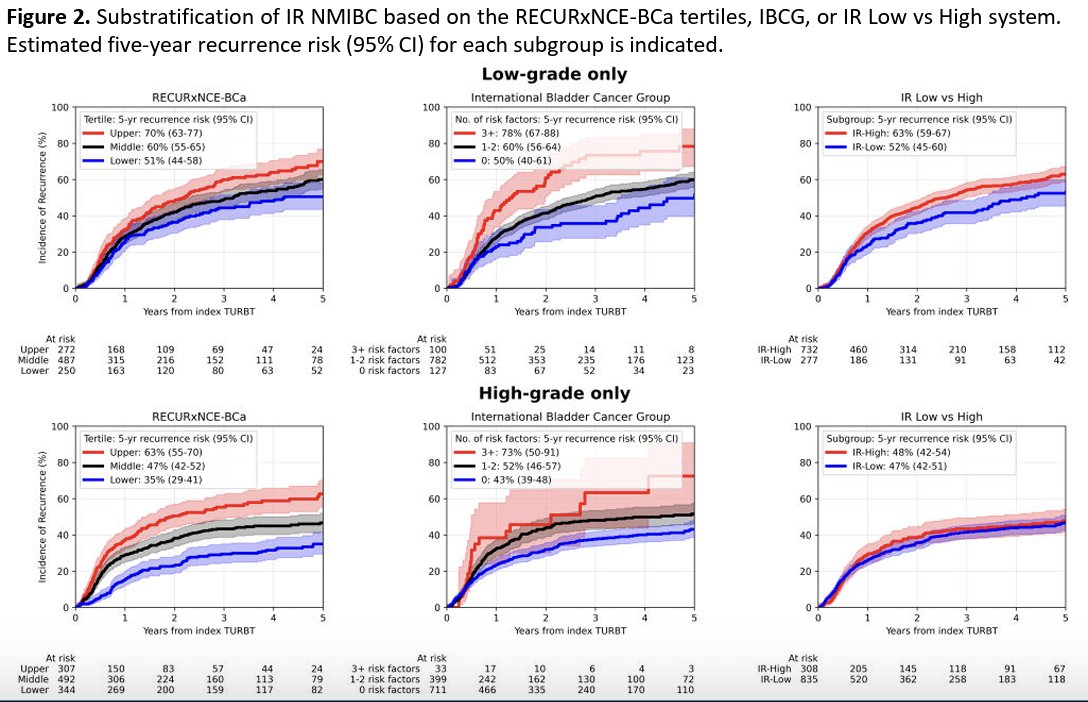 Substratification analyses further evaluated the model’s performance within intermediate-risk NMIBC. When patients were divided into tertiles based on RECURxNCE-BCa scores, the model demonstrated clear separation of recurrence risk. Among patients with low-grade tumors only, estimated 5-year recurrence risks were 51% for the lowest tertile, 60% for the middle tertile, and 70% for the highest tertile. A similar gradient was observed among patients with high-grade tumors, with 5-year recurrence risks of 35%, 47%, and 63% across the low-, middle-, and high-risk tertiles, respectively