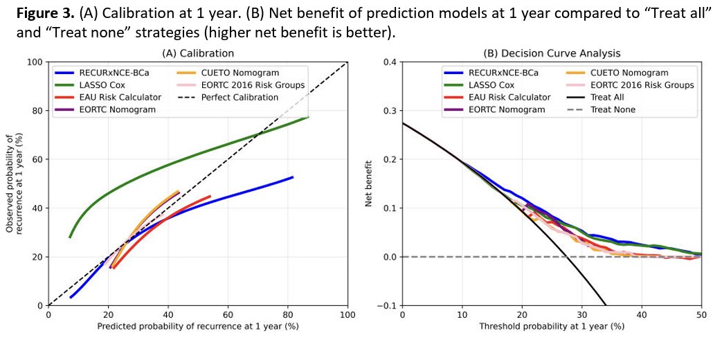 Calibration analyses demonstrated improved agreement between predicted and observed recurrence risk with RECURxNCE-BCa compared with existing risk calculators. At one year, the RECURxNCE-BCa model showed closer alignment with the ideal calibration line relative to the EORTC, CUETO, and EAU models. Decision curve analysis further demonstrated that RECURxNCE-BCa provided the greatest net clinical benefit across a range of clinically relevant recurrence probability thresholds when compared with competing models and the “treat all” or “treat none” strategies.
