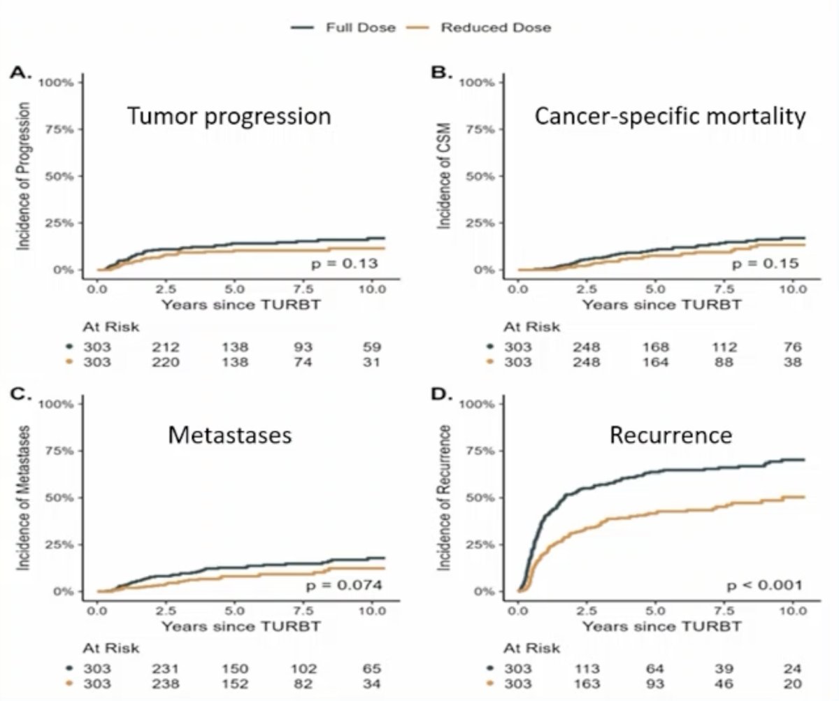 The estimated five-year cumulative incidence of tumor progression was 14% (95% CI 10%-19%) for the full-dose BCG maintenance group versus 10% (95% CI 7%-14%) for the reduced dose group (p = 0.144). Multivariable Cox regression analyses, accounting for age, sex, treatment year, and presence of CIS, showed no significant difference in the primary outcome between the full and reduced BCG maintenance doses (HR 0.69; 95% CI, 0.44-1.11; p = 0.13). No significant differences were observed in cancer-specific survival and overall survival; recurrence-free survival was improved with the reduced maintenance dose (HR 0.53, 95% CI 0.43-0.67; p < 0.001):