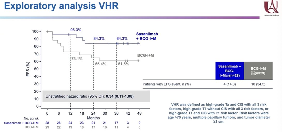 In this population, early radical cystectomy is often considered the preferred management strategy rather than intravesical BCG. However, an exploratory analysis in patients with very high-risk disease showed a potential event-free survival benefit with treatment intensification using sasanlimab plus BCG compared with BCG alone in this subgroup, although these findings should be interpreted cautiously given the limited sample size.
