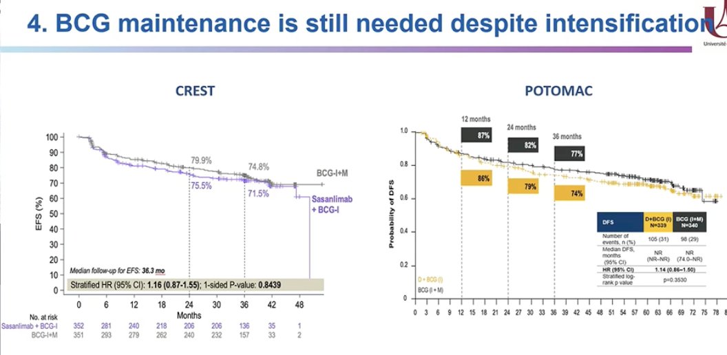 Moreover, Dr. Xylinas highlighted that BCG maintenance remains a critical component of treatment despite attempts at therapeutic intensification. Reviewing data from the CREST and POTOMAC trials, he emphasized that adequate maintenance BCG for two years appears to be essential, suggesting that the addition of immune checkpoint inhibitors may provide limited benefit if maintenance BCG is not properly administered. He underscored that optimal delivery of BCG maintenance should remain a priority when interpreting the results of these combination strategies.