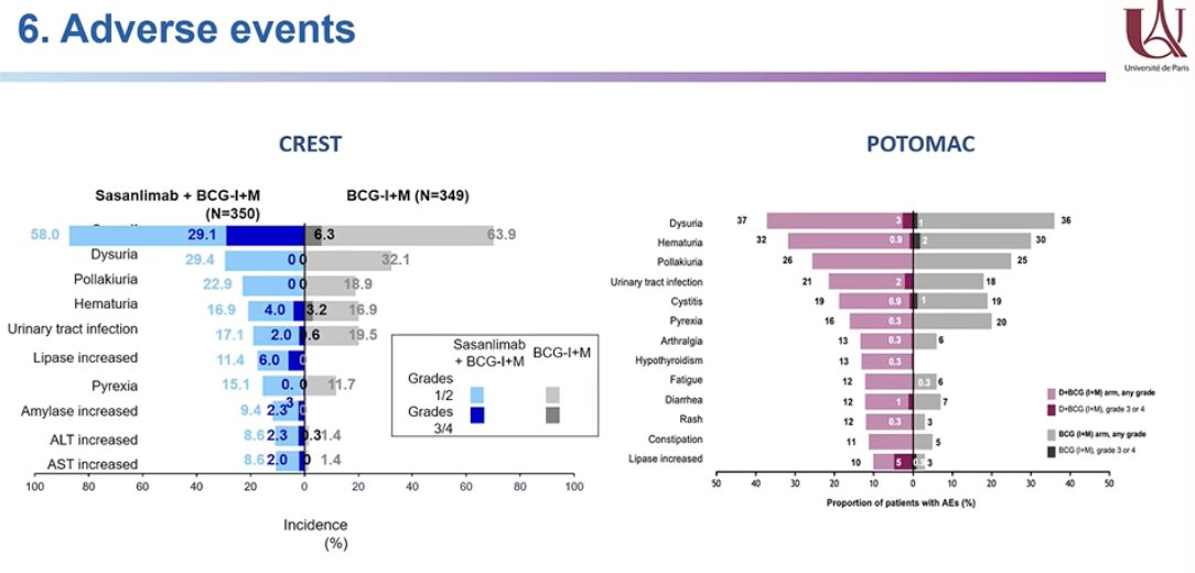 In terms of adverse events, treatment intensification was associated with higher rates of toxicity in both the CREST and POTOMAC trials. However, most events were low grade and consistent with the expected safety profiles of BCG and immune checkpoint inhibitors. Urinary symptoms such as dysuria, hematuria, and pollakiuria were among the most commonly reported adverse events, while immune-related events remained relatively infrequent. Overall, the safety profile of these combination strategies appeared manageable.2,3