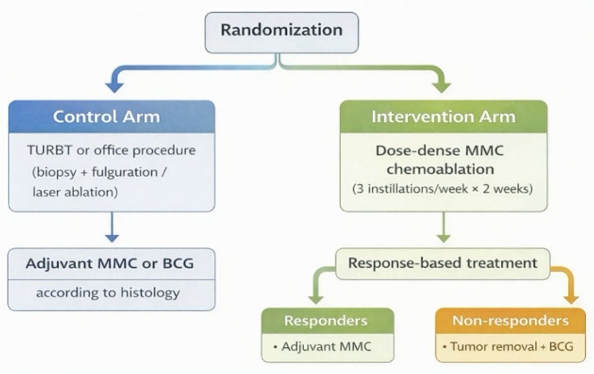 This is an international, multicenter randomized controlled trial across nine Nordic sites in Denmark, Norway, Sweden, and Iceland. Patient inclusion was initiated in June 2025 with a target enrollment of 272 patients with recurrent Ta low-grade non-muscle invasive bladder cancer and no prior intravesical therapy. Eligible participants are randomized 1:1:
