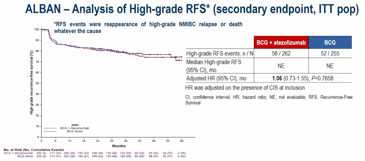 The secondary endpoint of high-grade recurrence-free survival (RFS) was also negative. High-grade RFS events occurred in 56 patients in the BCG plus atezolizumab arm and 52 in the BCG-alone arm, with an adjusted HR of 1.06 (95% CI 0.73–1.55; p=0.77), demonstrating no benefit with the addition of atezolizumab to BCG.