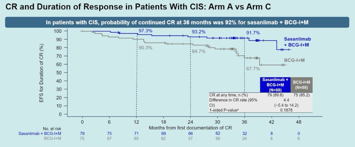 Among patients with CIS who achieved a complete response, the durability of response appeared longer with the addition of sasanlimab. Dr. Shore highlighted that in patients achieving CR, event-free survival was more prolonged, particularly in the CIS population. At 36 months, the probability of maintaining a complete response was 92% in the sasanlimab plus BCG induction and maintenance arm, compared with lower rates in the BCG-alone arm.