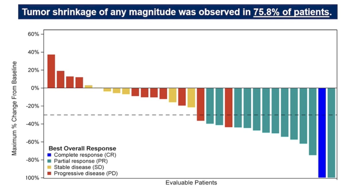 Tumor shrinkage of any magnitude was observed in 75.8% of patients: