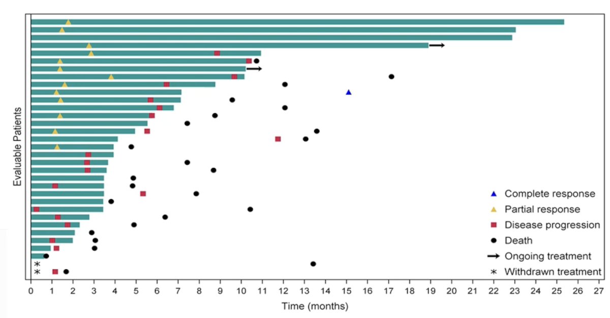The median duration of response was 5.9 months (95% CI 4.4-9.0), the median time to response was 1.4 months (95% CI 1.3-1.8), and the median follow-up was 24.0 months (95% CI 13.5-26.4):