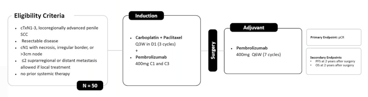 Dr. Maluf then discussed several ongoing trials for penile squamous cell carcinoma, starting with the neoadjuvant space. The PRIAM trial is assessing carboplatin + paclitaxel + pembrolizumab for locoregionally advanced penile cancer, whereby 50 patients will receive neoadjuvant carboplatin + paclitaxel + pembrolizumab followed by surgery, followed by 7 cycles of adjuvant pembrolizumab. The primary endpoint is pathological complete response:
