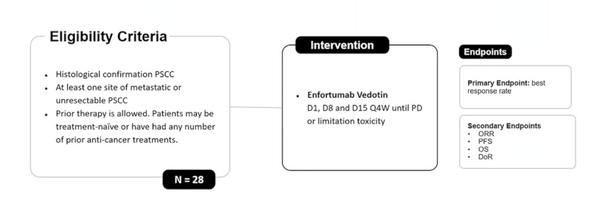 In the metastatic/recurrent first-line space, Dr. Maluf discussed a trial assessing enfortumab vedotin for the treatment of patients (n = 28) with metastatic or unresectable penile squamous cell carcinoma, with a primary endpoint of best response rate: