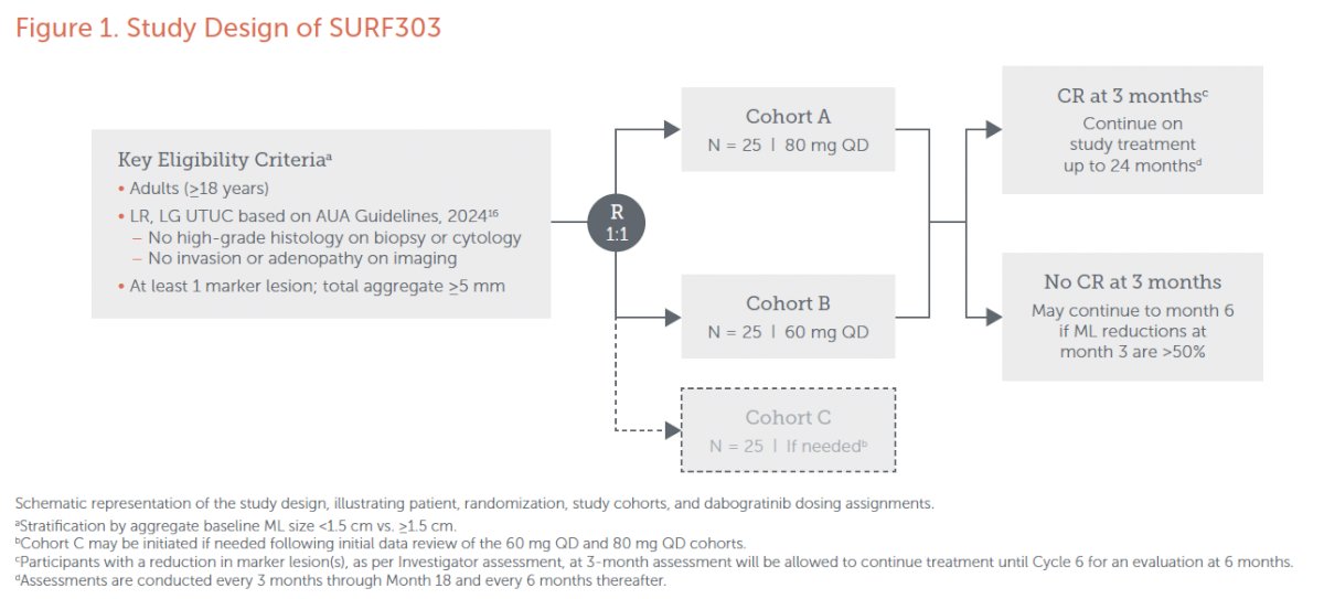 An optional third cohort may be initiated if warranted based on emerging safety or efficacy data from the initial cohorts. Following dose optimization, phase 2b will enroll additional participants to further evaluate the efficacy, safety, pharmacokinetics, and therapeutic activity of dabogratinib at the selected dose.