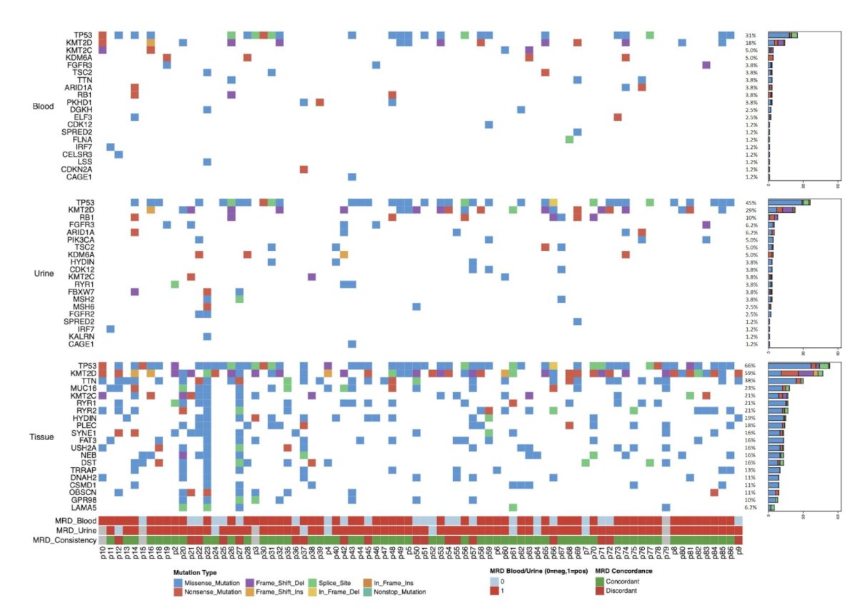 Multivariable analysis confirmed T1 ctDNA+ (HR 11.5, 95% CI 3.8–35.2), T2 ctDNA+ (HR 38.7, 95% CI 9.9–151.6), and pT3–4 stage (HR 8.7, 95% CI 2.1–35.7; all p ≤ 0.003) as independent predictors of extravesical recurrence, with T2 utDNA+ solely predicting intravesical recurrence (HR 14.5, p < 0.001). Biomarker performance remained robust regardless of adjuvant therapy (all p < 0.001). Finally, baseline mutational landscape and concordance across tumor tissue, plasma ctDNA, and urine utDNA in the CURATE-UTUC cohort are shown in the following figure:
