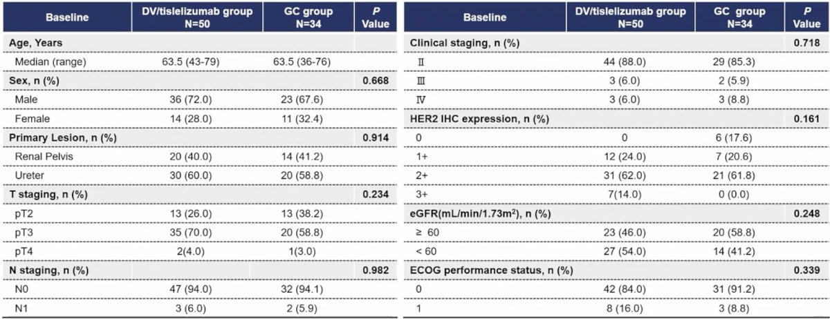 Between July 2023 and July 2025, 84 patients were enrolled to receive the disitamab vedotin + tislelizumab (n = 50) or chemotherapy (n = 34). In the chemotherapy group, 20 patients received cisplatin treatment, while 14 patients received carboplatin treatment. In the experimental group, 26% (13/50), 70% (35/50), 4% (2/50) patients were pT2, pT3, and pT4, respectively, and 6% (3/50) patients were N+. Among them, 38 (76.0%) had HER2 high expression (IHC 2+ or 3+), and 12 of them had HER2 low expression (IHC 1+). In the control group, 38.2% (13/34), 58.8% (20/34), 3.0% (1/34) patients were pT2, pT3, and pT4, respectively, and 5.9% (2/34) patients were N+. The baseline data were similar between the two groups: