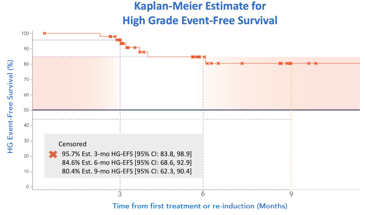 Over a median follow-up of 6.0 months, 8 patients were re-induced at 3 months. There was a consistently high grade event-free survival: