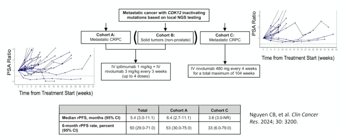 The PSA50 rate was 9% in cohort A with two responders, and there were no PSA50 responses in cohort C. The median PSA progression-free survival was 7.0 months (95% CI, 3.6-11.4) in cohort A and 4.5 months (95% CI, 3.4-13.8) in cohort C. The median overall survival was 9.0 months (95% CI, 6.2-12.3) in cohort A and 13.8 months (95% CI, 3.6-not reached) in cohort C:&nbsp;