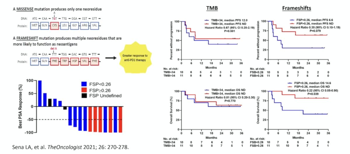 In a study assessing dMMR CRPC and immune checkpoint inhibitors, frameshift mutations had a greater response to anti-PD1 therapy than missense mutations: